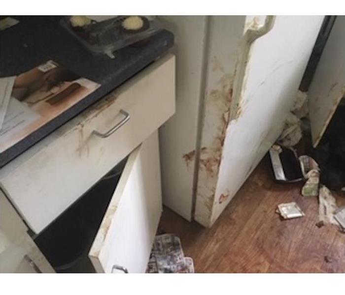 Kitchen with bloodstains on appliance door and counter