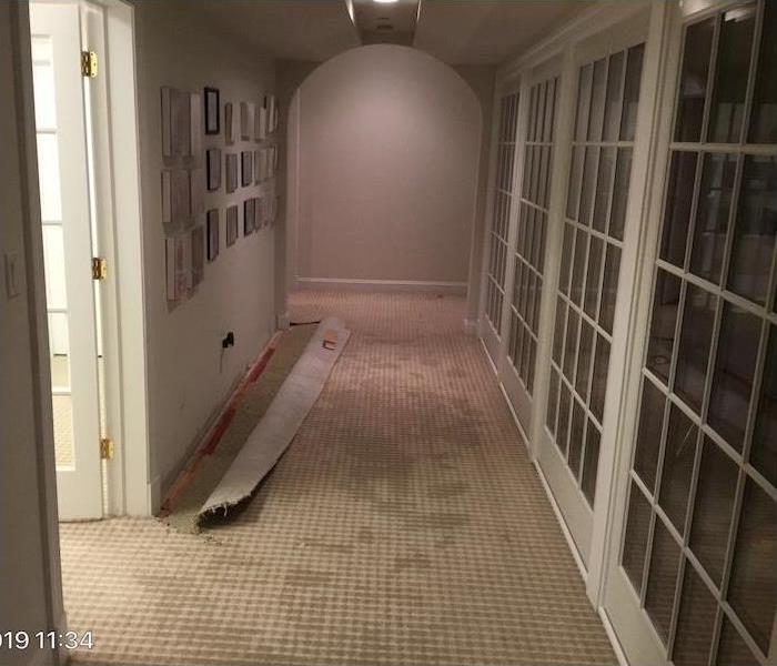 hallway with water damage to carpet and wall
