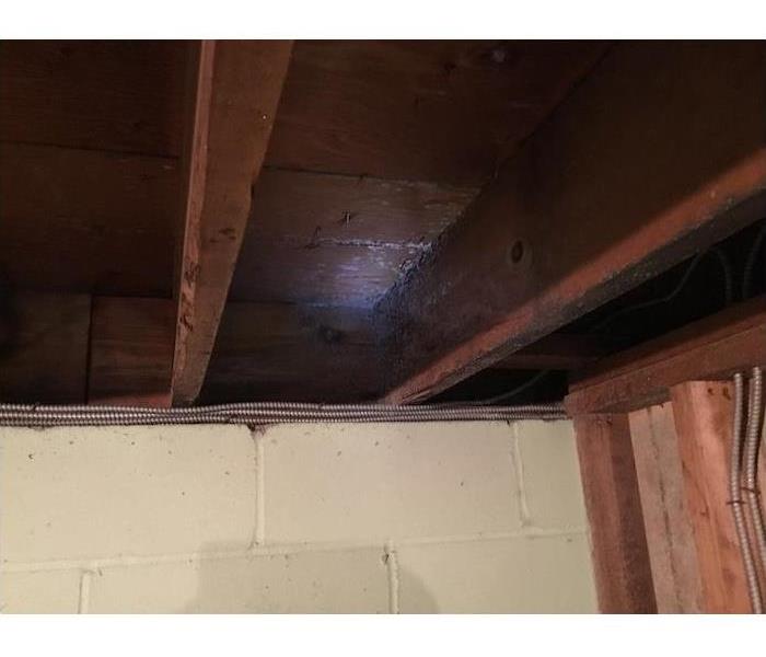Basement rafters with mold growth