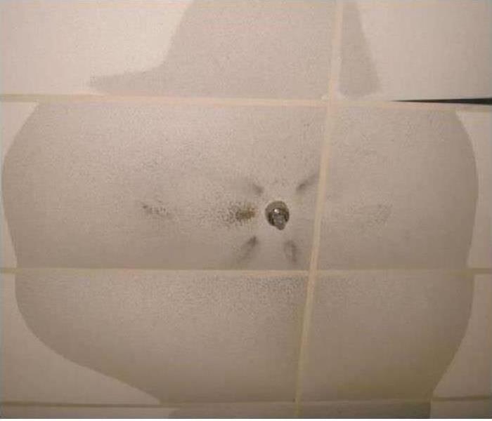 water damaged ceiling tiles around a sprinkler system head
